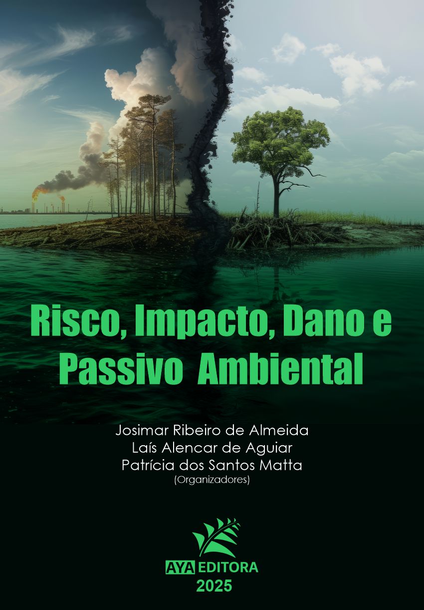 Risco, Impacto, Dano e Passivo Ambiental